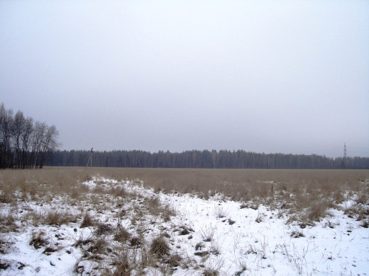23644 (a): :1024x768